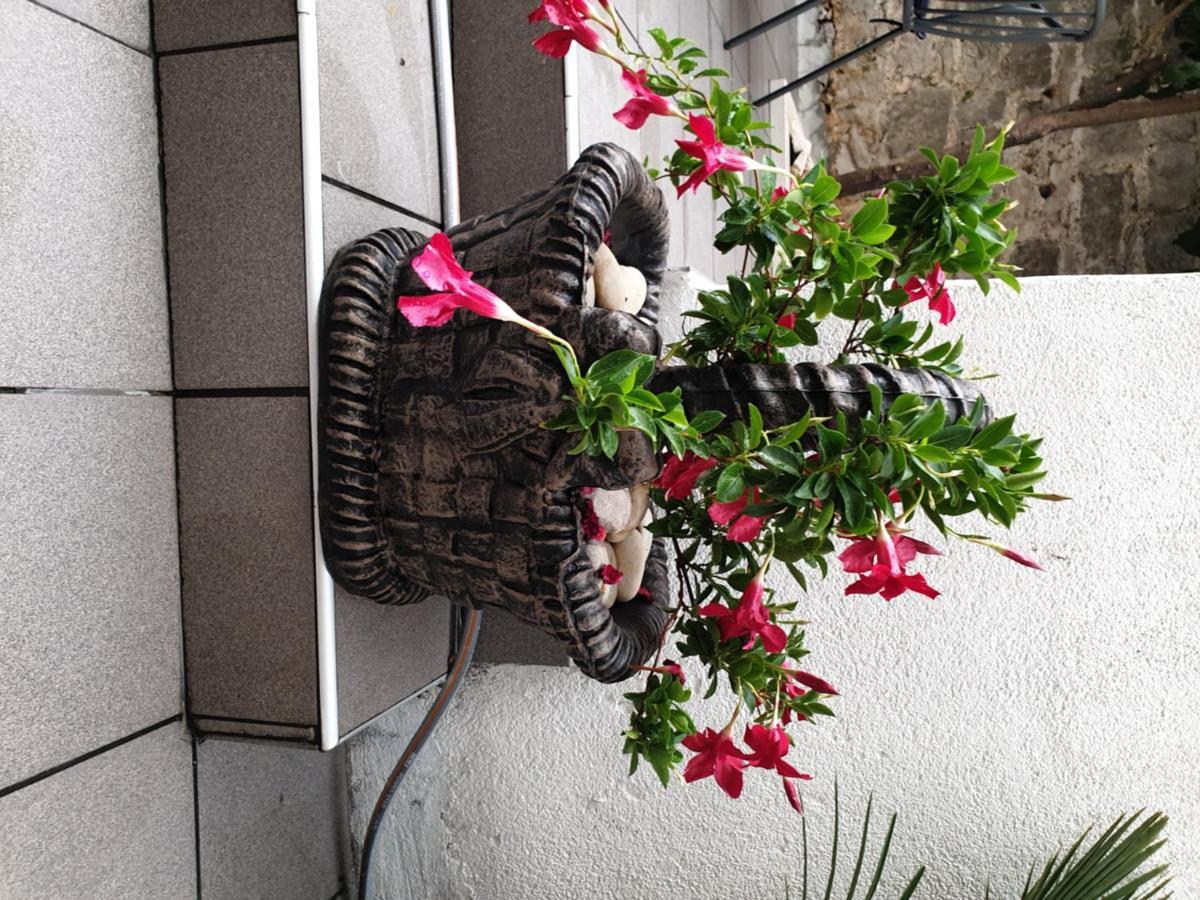 Lemon Tree Hotel Seget Donji Exterior photo